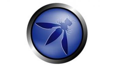 OWASP Qatar: Advancing the Cyber Security Agenda